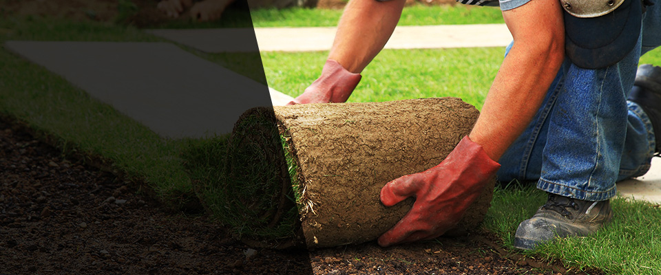 South Gate Landscapers